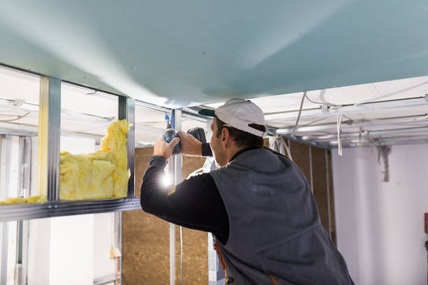 Best Insulation Maintenance and Repair in Splendora, TX