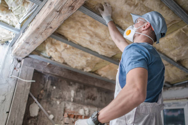 Trusted Splendora, TX Insulation Contractor Experts
