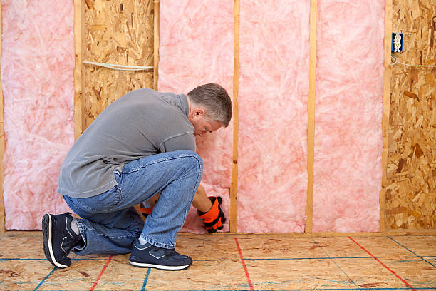 Best Cellulose Insulation in Splendora, TX