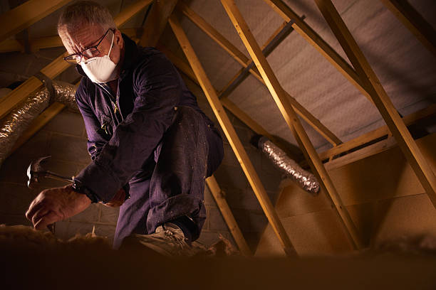 Types of Insulation We Offer in Splendora, TX